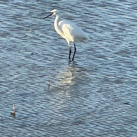 Affittacamere Cal Xot El Poblenou del Delta Esterno foto