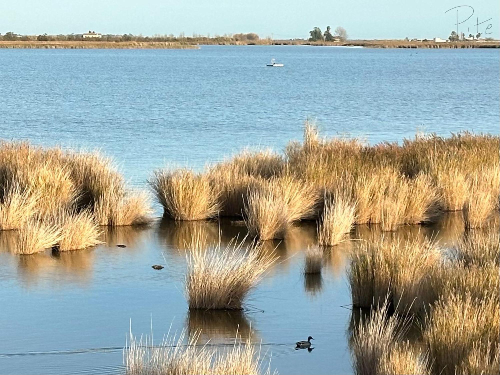 Affittacamere Cal Xot El Poblenou del Delta Esterno foto